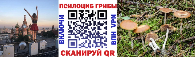 KRAKEN зеркало  закладка  Елец  Галлюциногенные грибы мицелий 