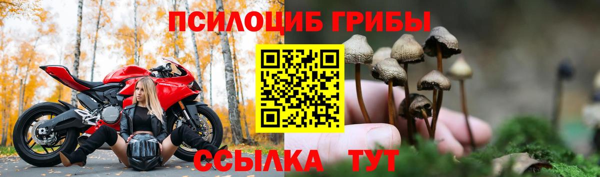 Псилоцибиновые грибы ЛСД Елец